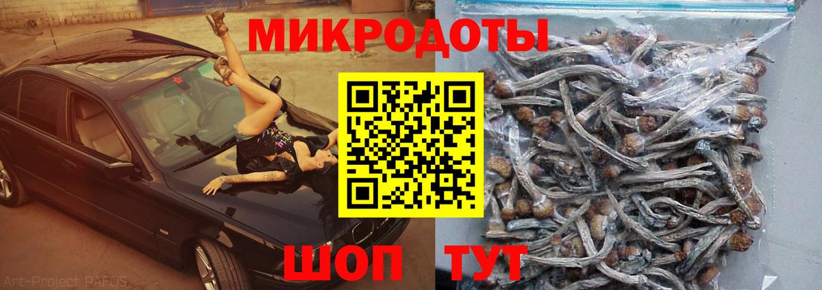 Галлюциногенные грибы мухоморы  продажа наркотиков  Зима  Вход с VPN 